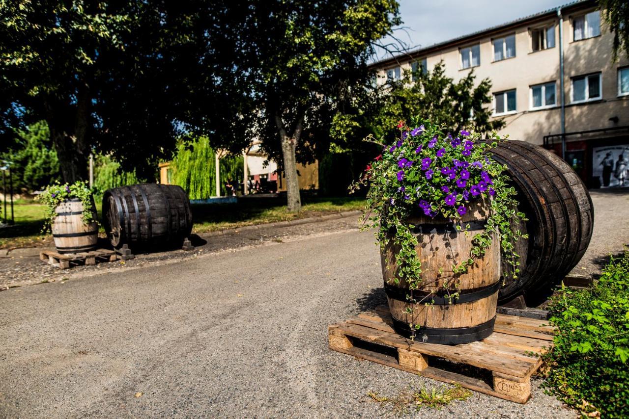 Ubytovani Ve Vinarstvi Zd Nemcicky Bagian luar foto