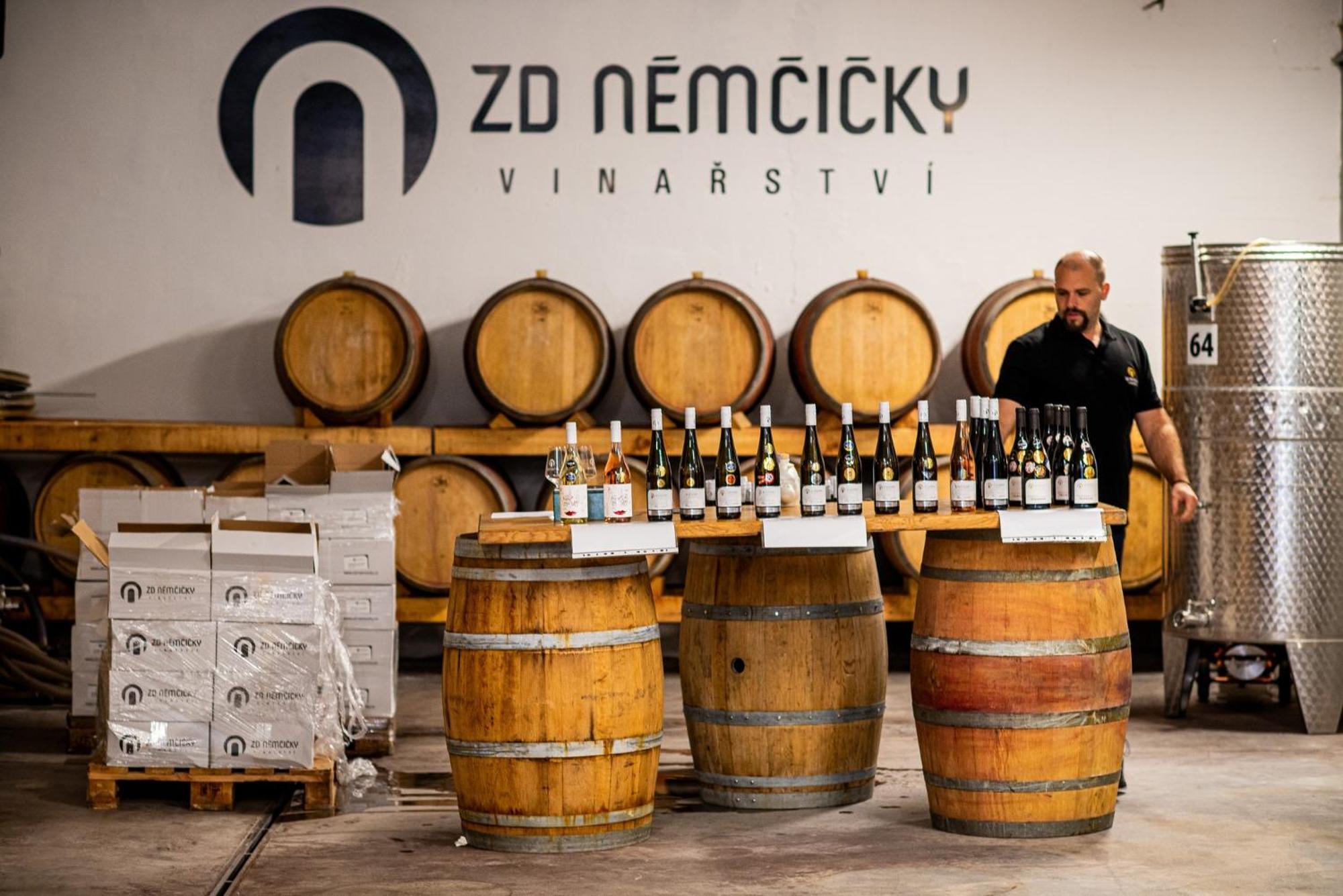 Ubytovani Ve Vinarstvi Zd Nemcicky Bagian luar foto